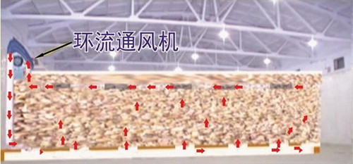 膜下环流熏蒸环流示意图_副本.jpg