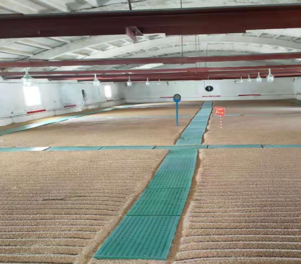 粮面走道板在仓储中的作用