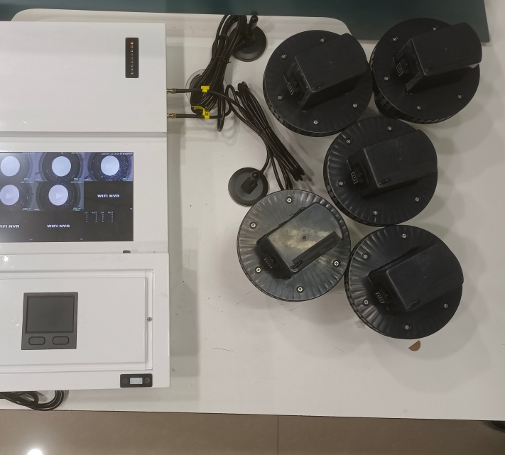 “防早治小”——粮仓虫害检测系统