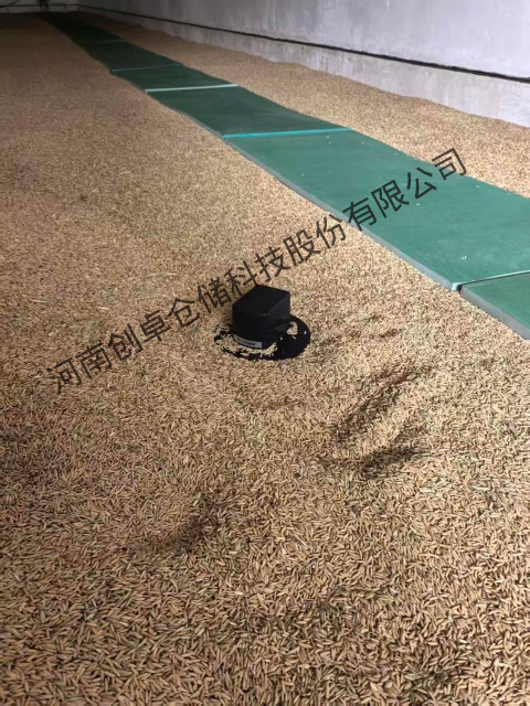 创卓AI测虫展示24 (2).jpg